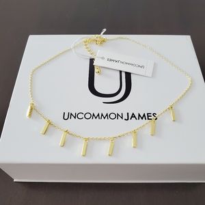 Uncommon James Duchess necklace